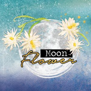 Logo Fleur de lune